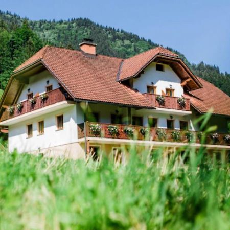 Na Logu - Farm Stay Ambroz Gregorc Solcava Exterior photo