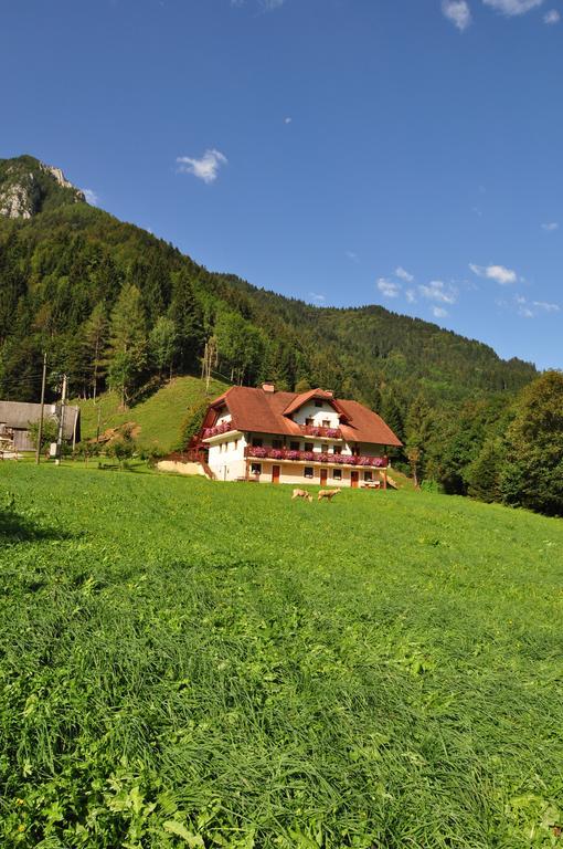 Na Logu - Farm Stay Ambroz Gregorc Solcava Exterior photo